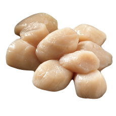 scallops